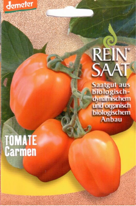 Saatgut Samen Von Der Tomate Carmen